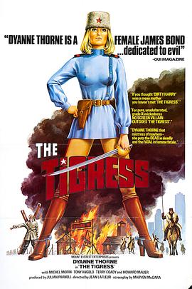 优化网站在哪里加关键词